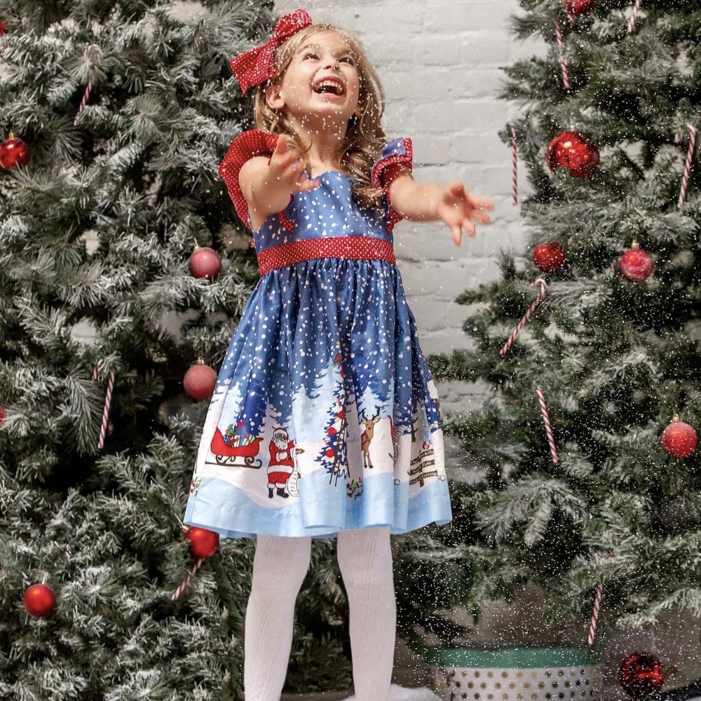 Eleanor Rose Christmas Dress